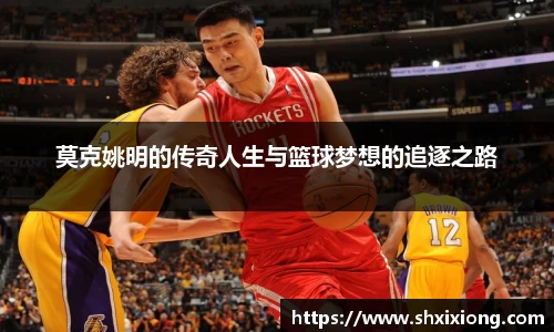 1xbet国际官网入口