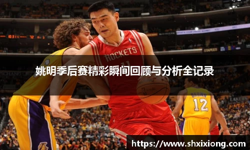 姚明季后赛精彩瞬间回顾与分析全记录