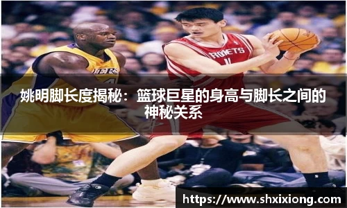 姚明脚长度揭秘：篮球巨星的身高与脚长之间的神秘关系