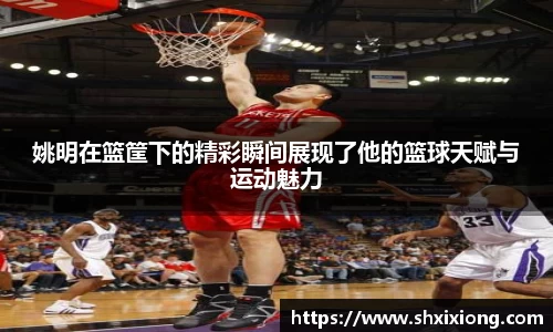 姚明在篮筐下的精彩瞬间展现了他的篮球天赋与运动魅力