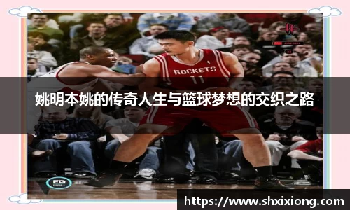1xbet国际官网入口